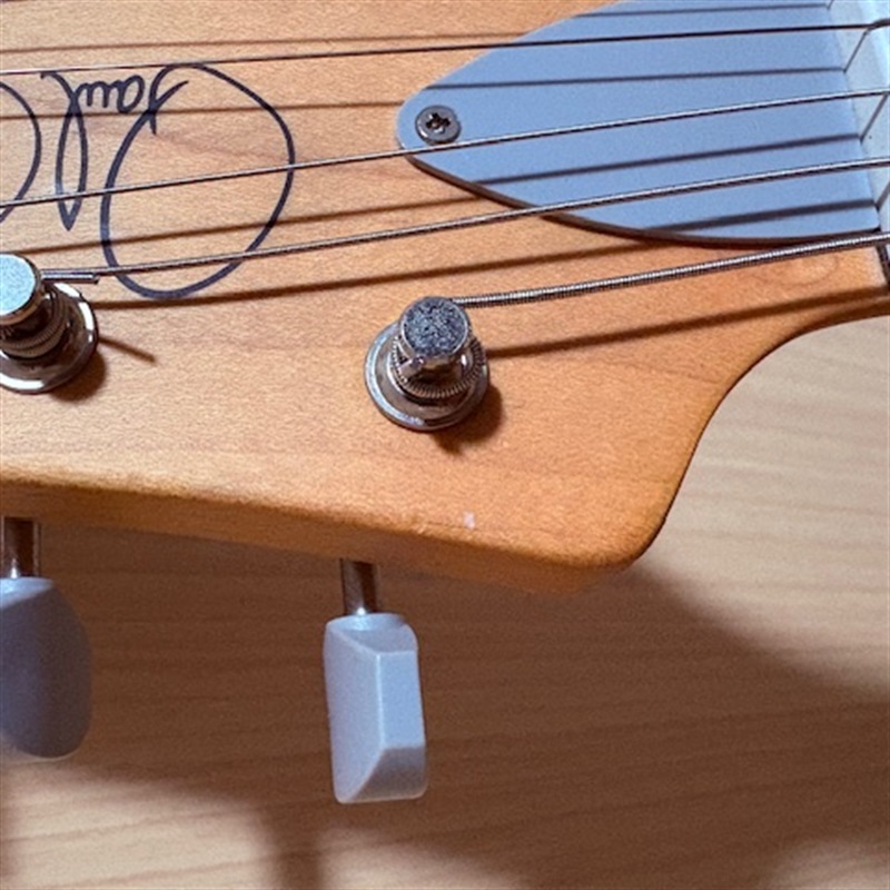 P.R.S. SE SILVER SKY ROSEWOOD Stone Blueの画像